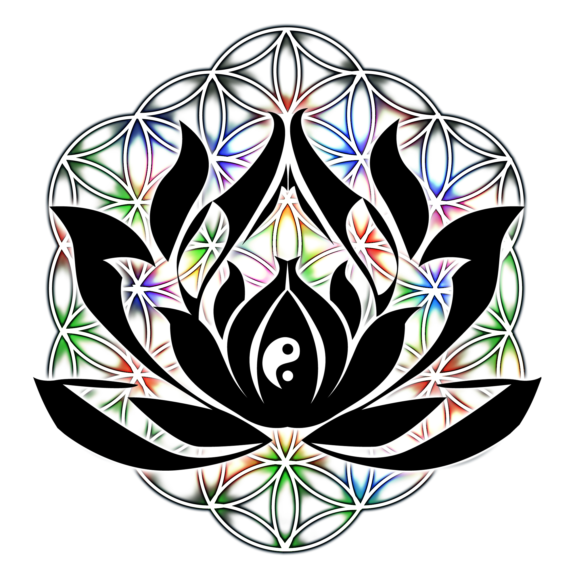 The Lotus Flower